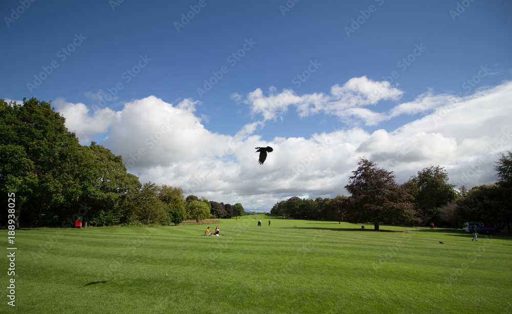 Kilkenny Kilkenny