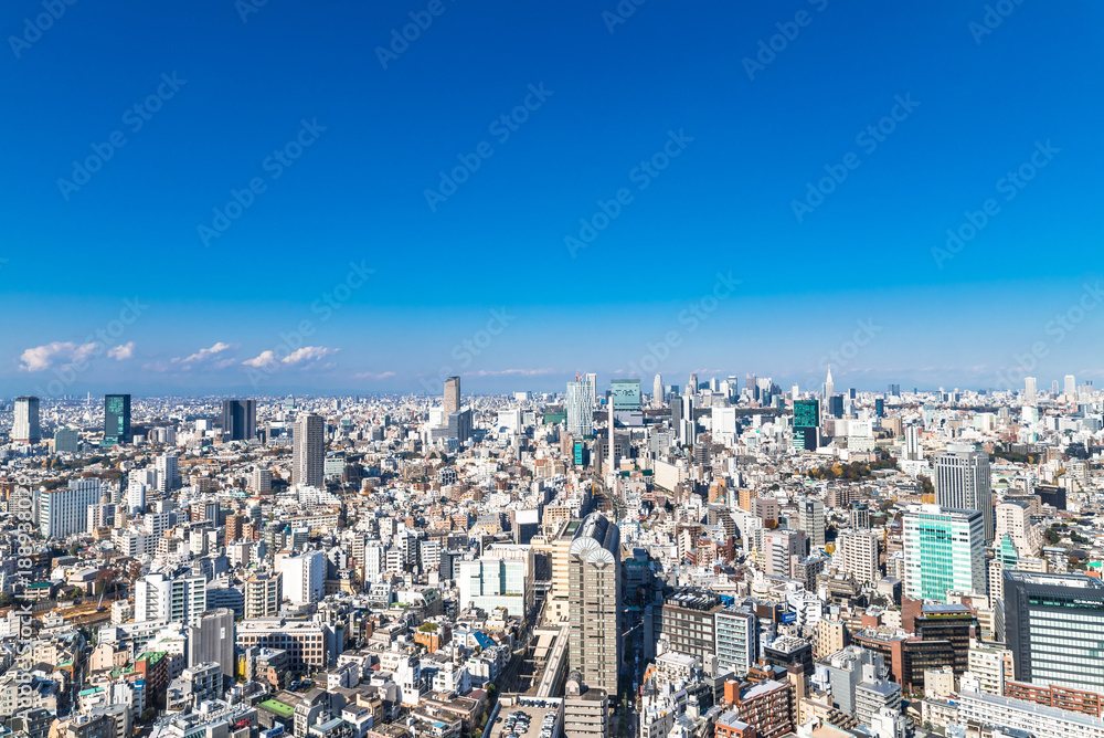 Fototapeta premium 東京 青空と都市風景