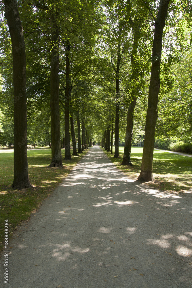 Fototapeta premium Allee