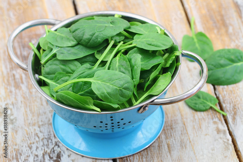 Raw spinach leaves in blue colander on rustic wooden surface
