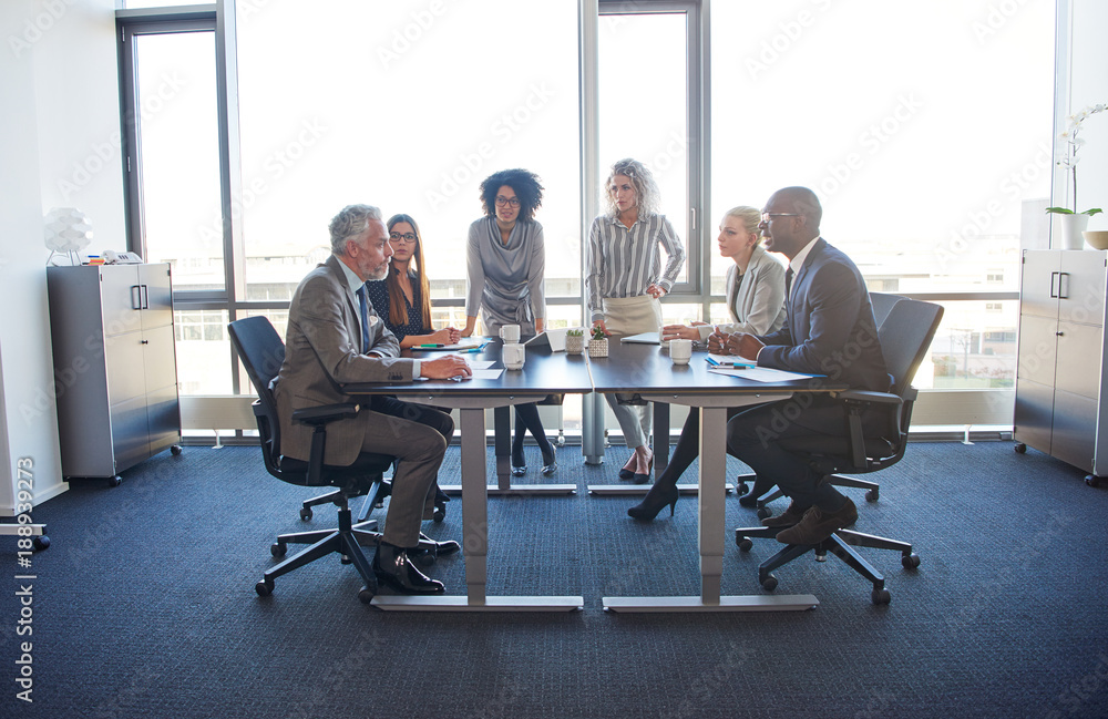 Diverse group of businesspeople meeting together in a modern office Diverse group of businesspeople meeting together in a modern office
