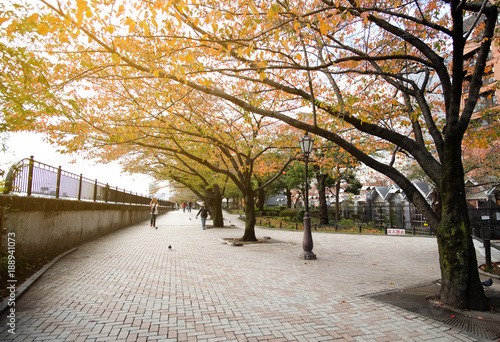 Yokoamicho Park in autumn,Yokoamicho Park is sumida word in Tokyo Japan.
