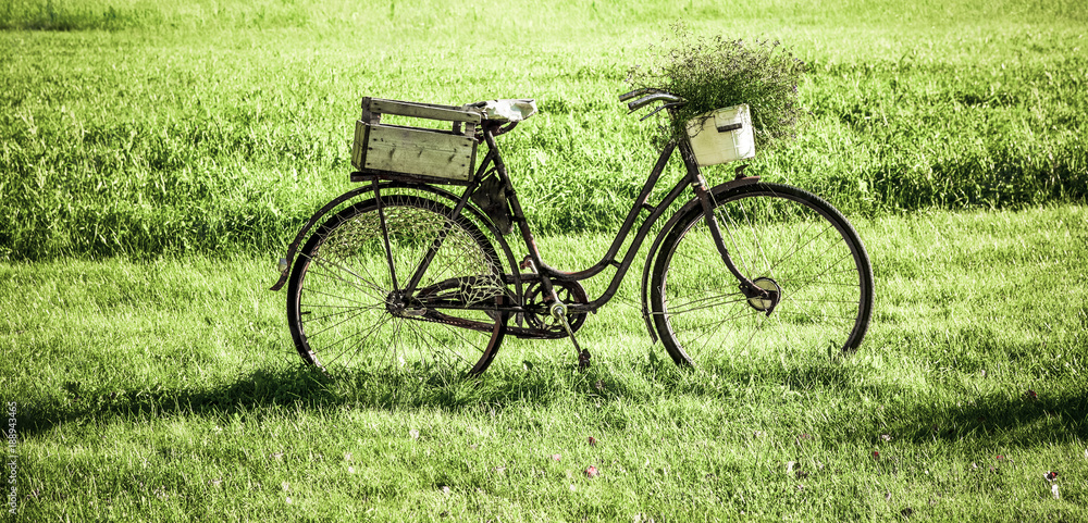 Wunschmotiv: Fahrrad in der Wiese #188943465