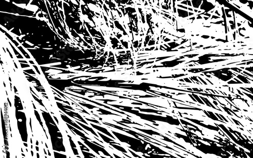 Black and White Grass Silhouette Texture Rustic Background