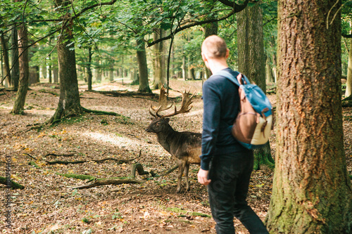 Φωτογραφία A man looks at a wild deer in a natural habitat