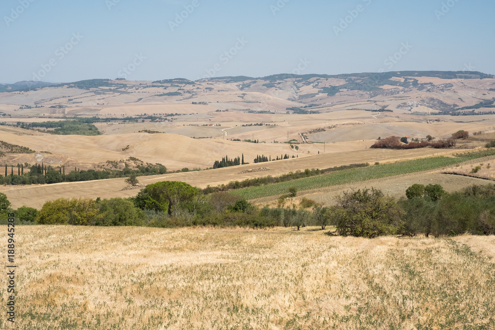 Obraz premium Plowed field ready to be cultivated in Val d'Orcia, Tuscany