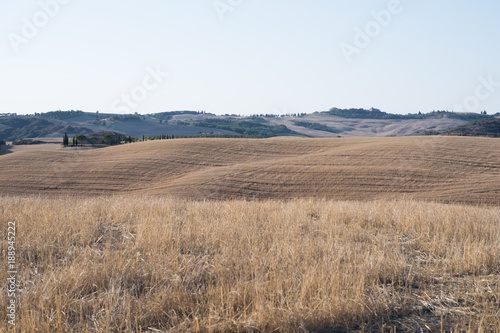 Plowed field ready to be cultivated in Val d'Orcia, Tuscany