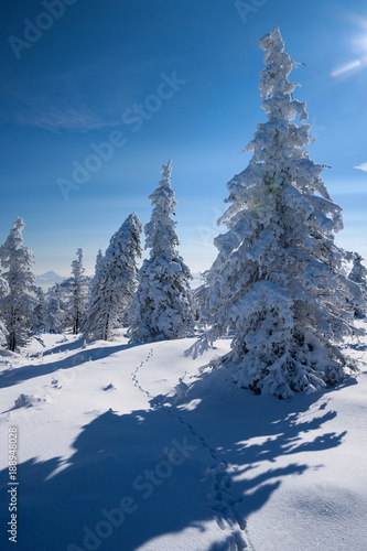 Winterlandschaft im Gebirge