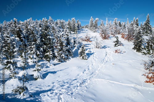 Winterlandschaft im Gebirge © Alexander Erdbeer