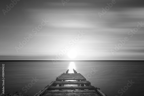 Beautiful black and white s...