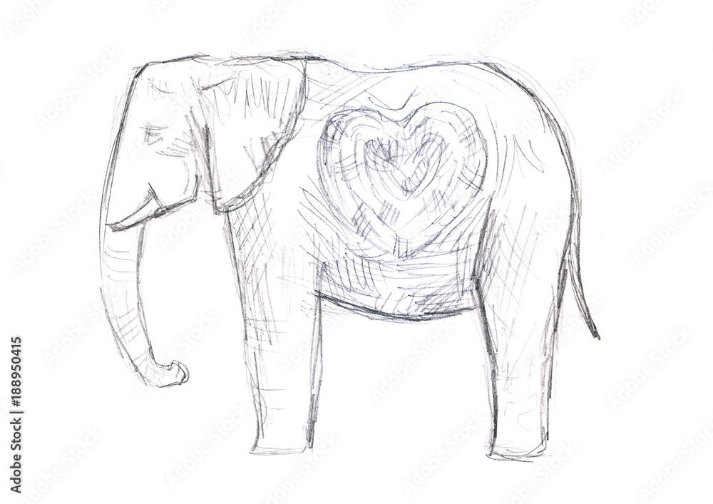 Obraz premium Elephant