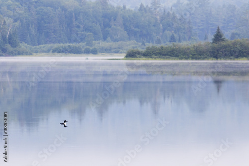 Summer morning in La Mauricie National Park, Quebec, Canada 