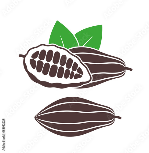 Cocoa set. Isolated cocoa on white background