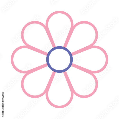 flower  vector illustration