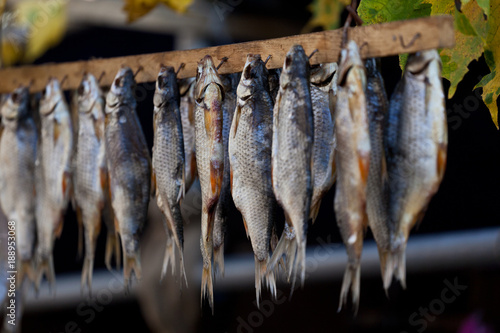 Taranka. Stockfish dried openair photo