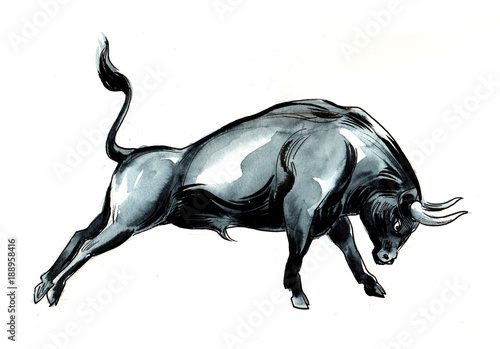 Fighting black bull. Watercolor sketch
