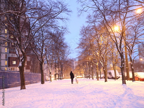 snow-covered pedestrian path in the park