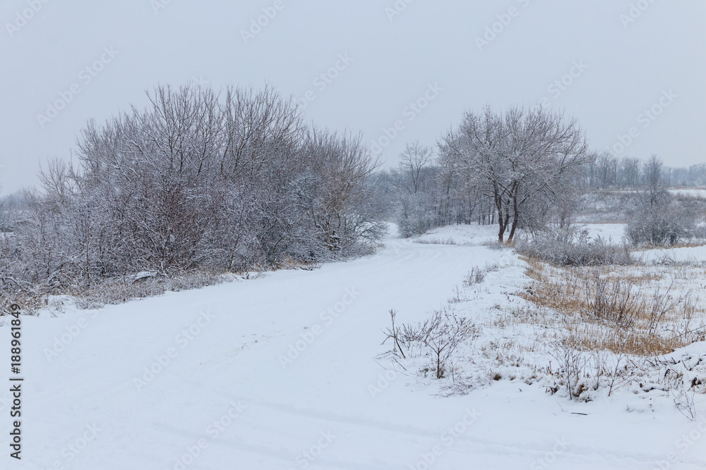 Snowy road during snowfall. Winter rural landscape