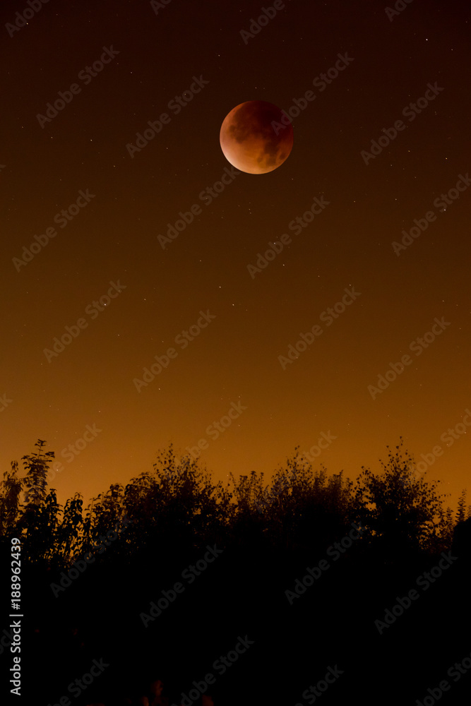 Naklejka premium Lunar Eclipse