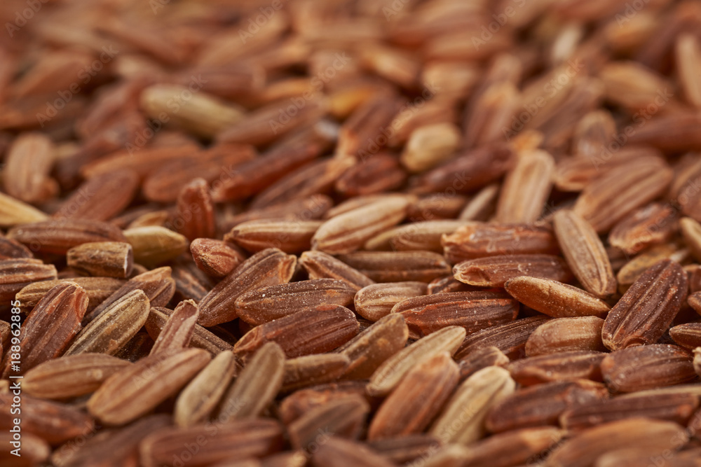 Surface coated with the brown rice grains Surface coated with the brown rice grains