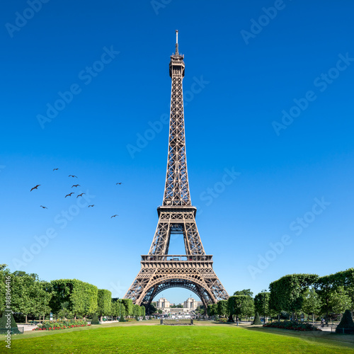 Fototapeta Naklejka Na Ścianę i Meble -  Eiffelturm in Paris, Frankreich