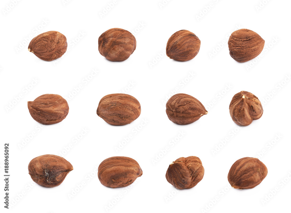 Single hazelnut isolated Single hazelnut isolated