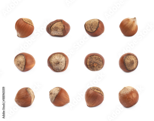 Wallpaper Mural Single hazelnut isolated Torontodigital.ca