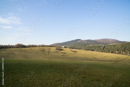 Meadow with trees and views to mountains. Slovakia