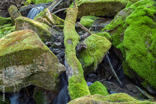 A mountain stream flows between rocks overgrown with moss.