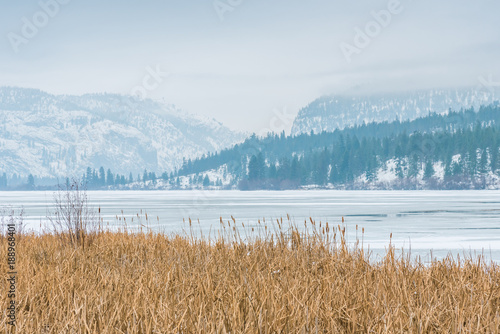 Snow covered McIntyre Bluff and mountains viewed from the protected wetlands at Vaseux Lake near Okanagan Falls photo