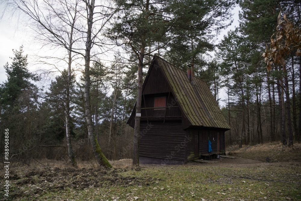 Wooden hut hudden in the forest. Slovakia