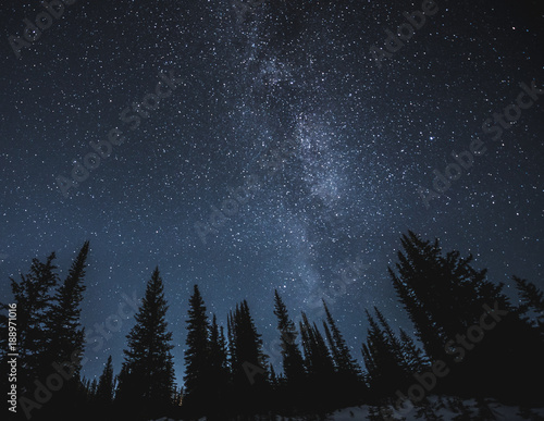 Stars and milky way above dark forest