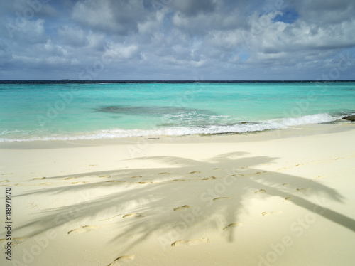 shadow from palm leaves and branches on the sand on Maldives island