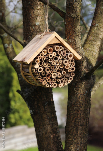 Insect hotel hanging in garden tree photo