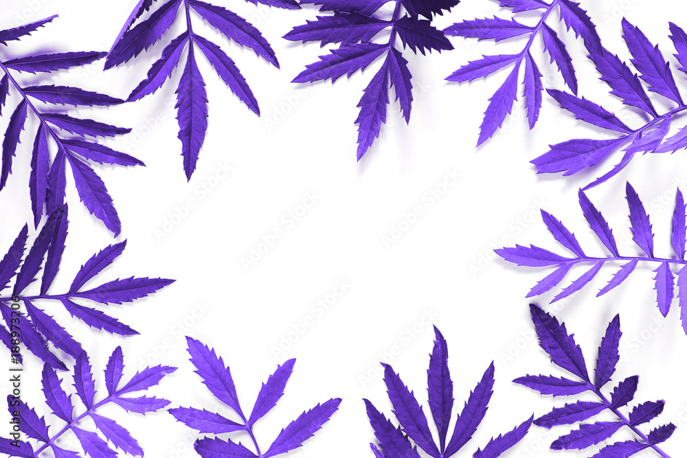 Frame background of foliage in trendy stylish color ultraviolet