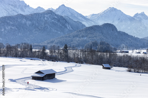 Alps in the snow