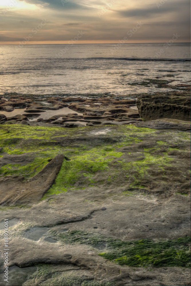 Diverse Beauty Graces the California Coast
Diverse Beauty Graces the California Coast