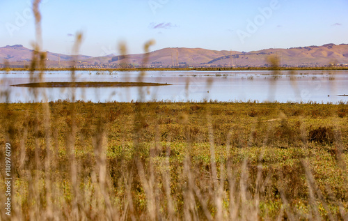 San Pablo National Wildlife Sanctuary, California