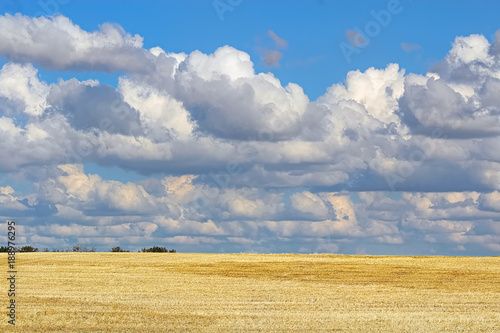 Beautiful cumulus clouds above a golden harvested field