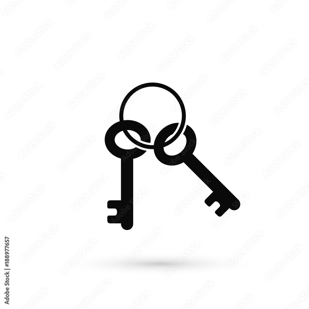 Keys Icon. Vector isolated flat style illustration. Key silhouette Keys Icon. Vector isolated flat style illustration. Key silhouette