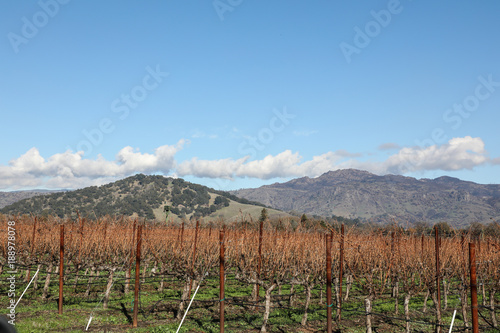 Vaca Mountains Napa Valley, California with winter sky and clouds