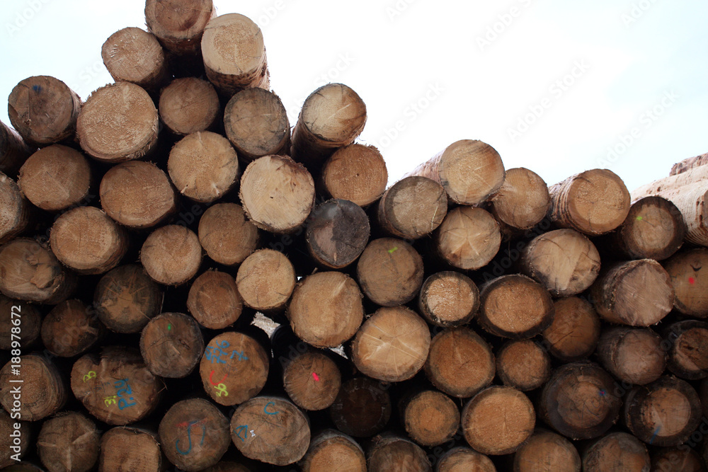 Background of round timber wood at production at the factory