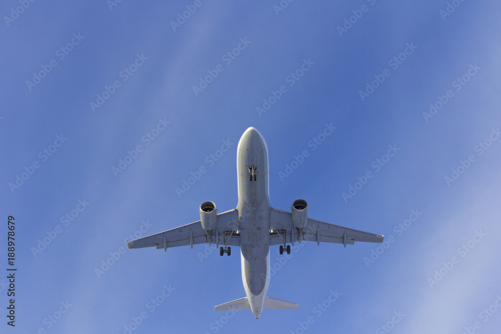 Fototapeta premium Samolot leci na tle białej chmury