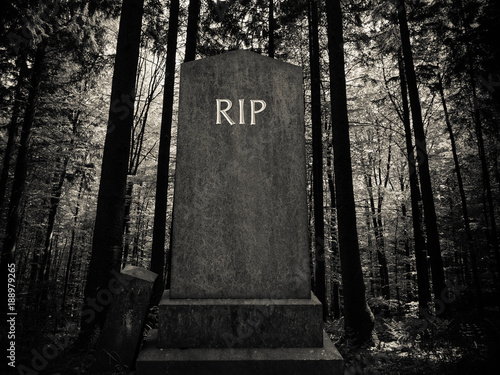 Fotografi Spooky Forest Gravestone