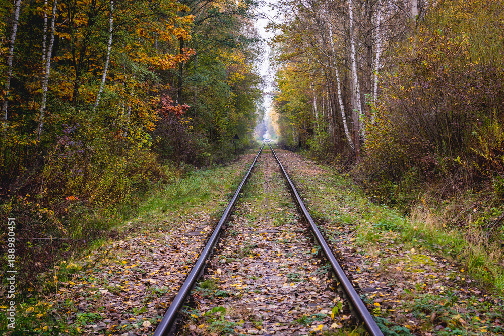 Railway tracks in nature reserve in Warsaw, Poland Railway tracks in nature reserve in Warsaw, Poland