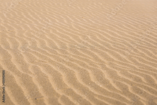 Details of sand on Atlantic Ocean Cabedelo Beach in Viana do Castelo, Portugal © Fotokon