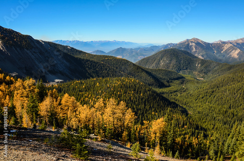 Pedley Pass Landscape in Fall