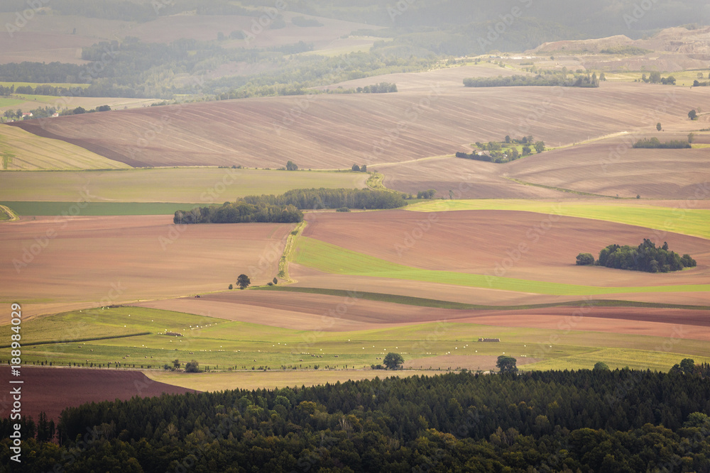 Patchwork fields seen from Szczeliniec Wielki massif in Table Mountains National Park, Sudetes in Poland