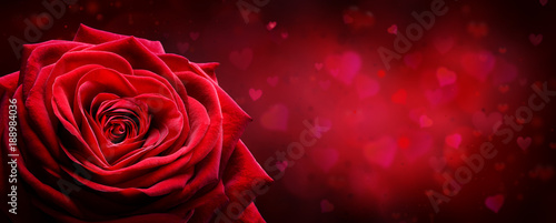 Valentine Card - Red Rose Shape Heart In Romantic Background

