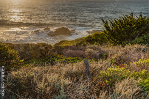 Fototapeta Naklejka Na Ścianę i Meble -  Diverse Beauty Graces the California Coast